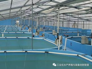 句句精華 陳海龍教你認識什么是工廠化水產養殖系統